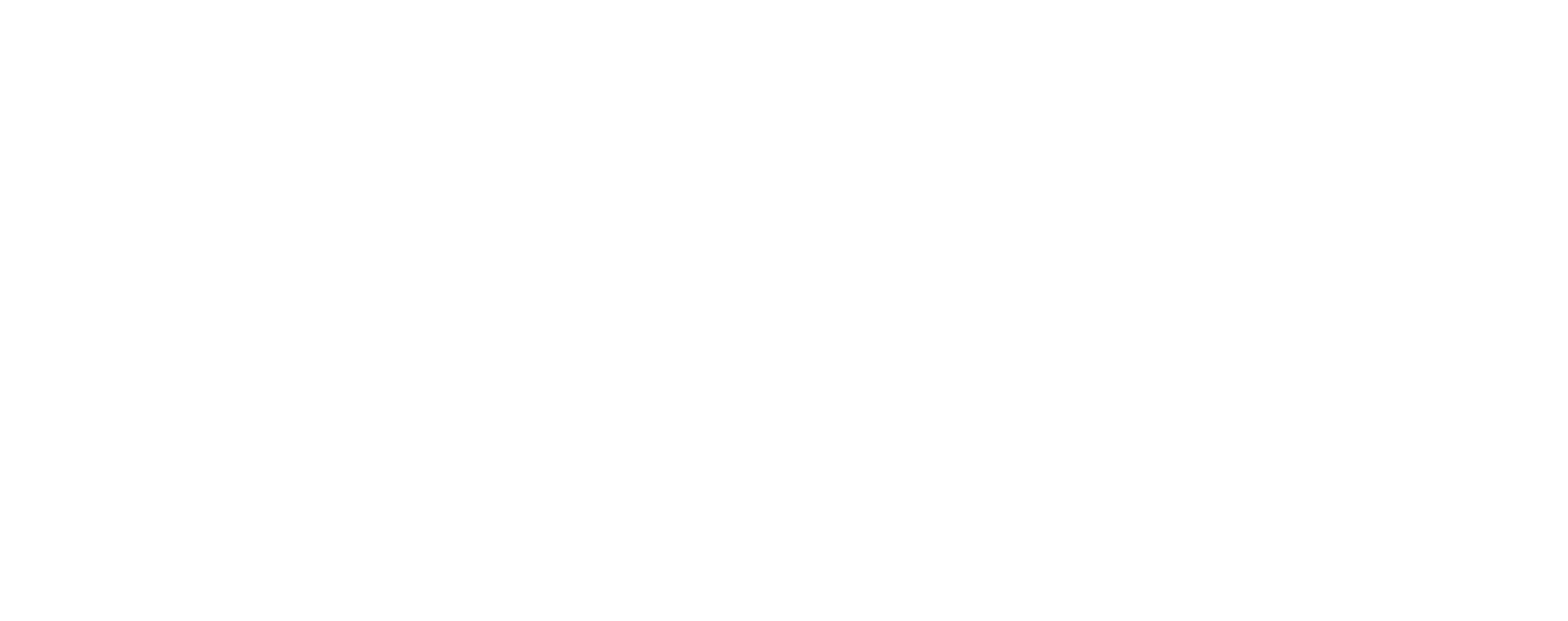 BERG Racing